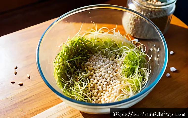 콩나물 발효식품 만들기 단계별 가이드 - Photorealistic overhead kitchen scene showing the first stage of making fermented soybean sprouts: f...